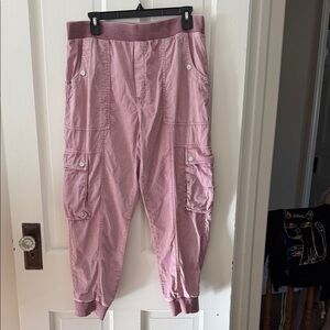 Anthropologie Mauve Jogger Pants